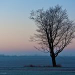 Highway 6 near Arthur