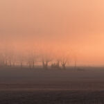 Highway 6 near Arthur